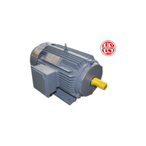 Motores Electricos US Motors Trifasicos Norma IEC Linea Estandar