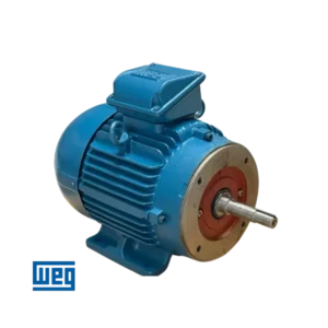Motores Electricos Weg Trifasicos Norma IEC Linea Bombas