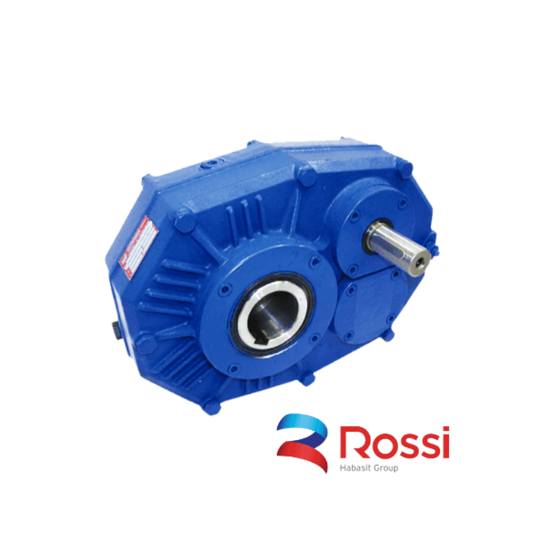 REDUCTOR PENDULAR ROSSI P84
